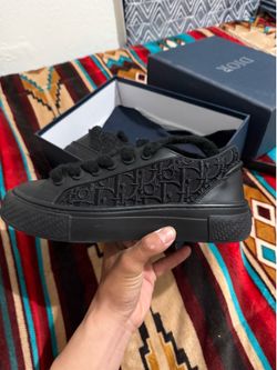 b33 dior shoes men size 41