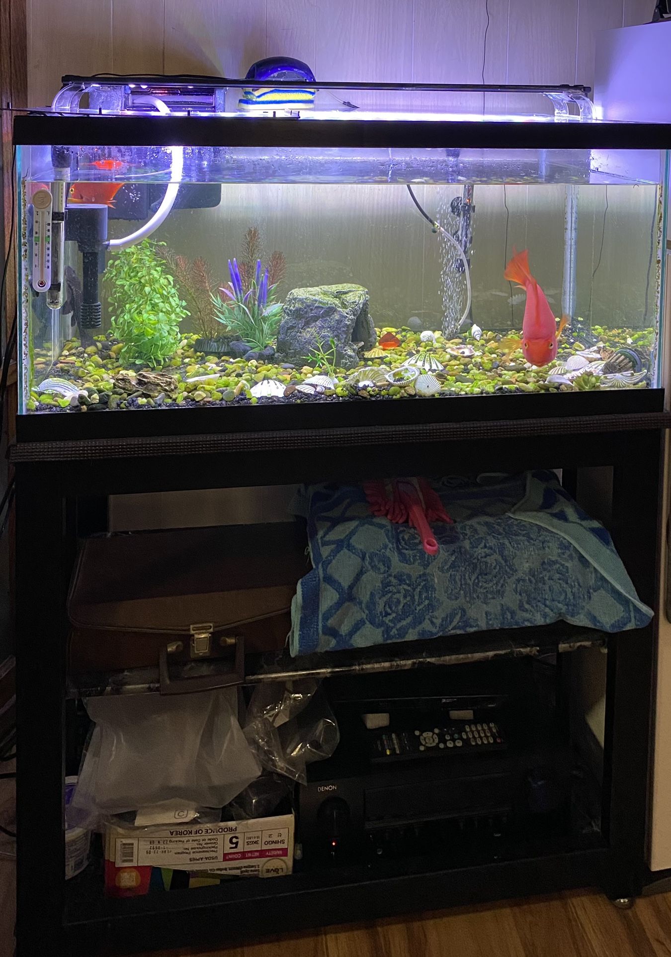 40 Gallon Fish Tank + Stand + Light