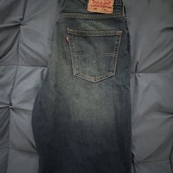 469 Levi’s Jorts 