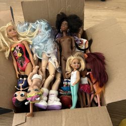 Barbie Dolls Plus