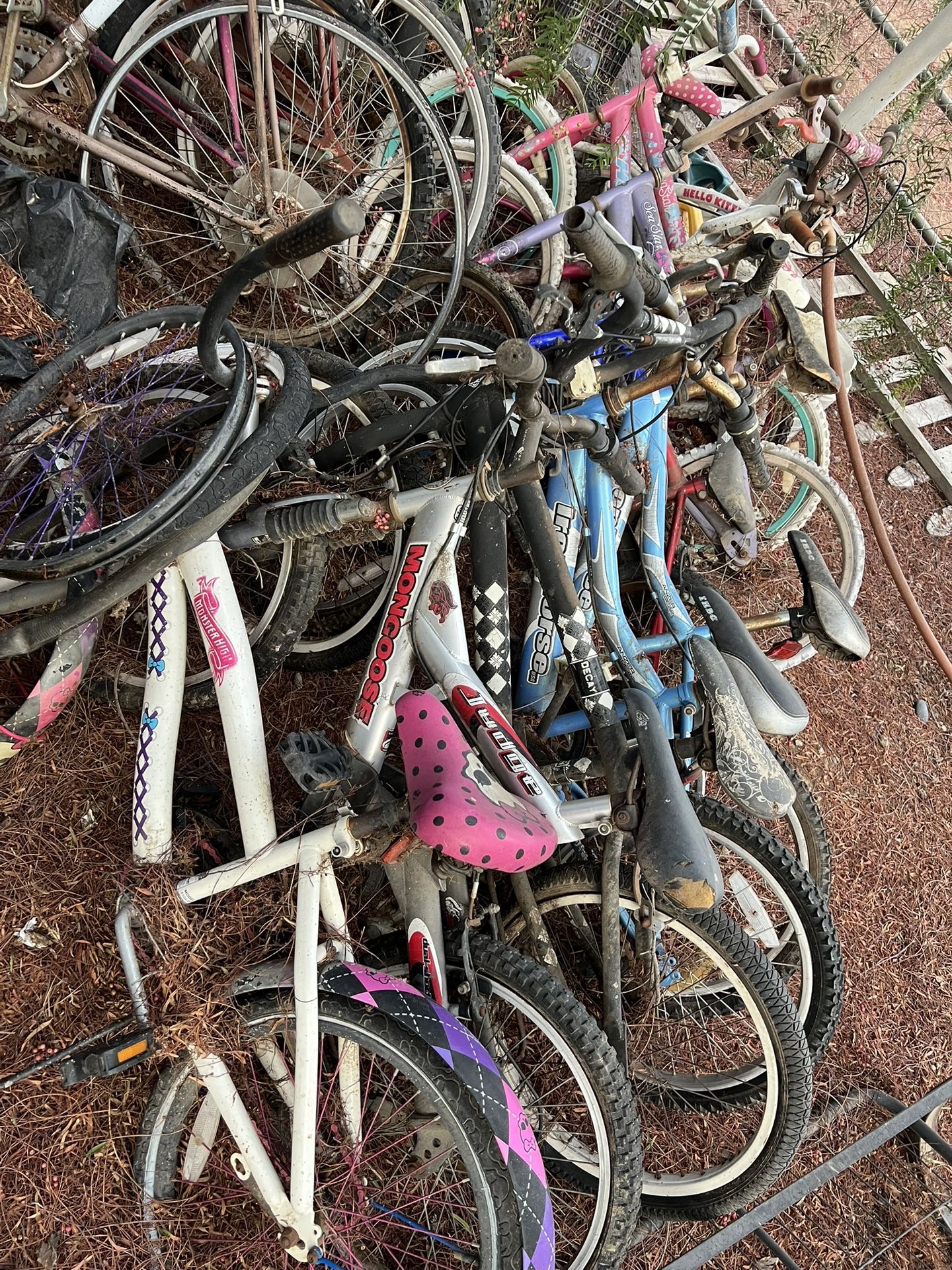 Bikes