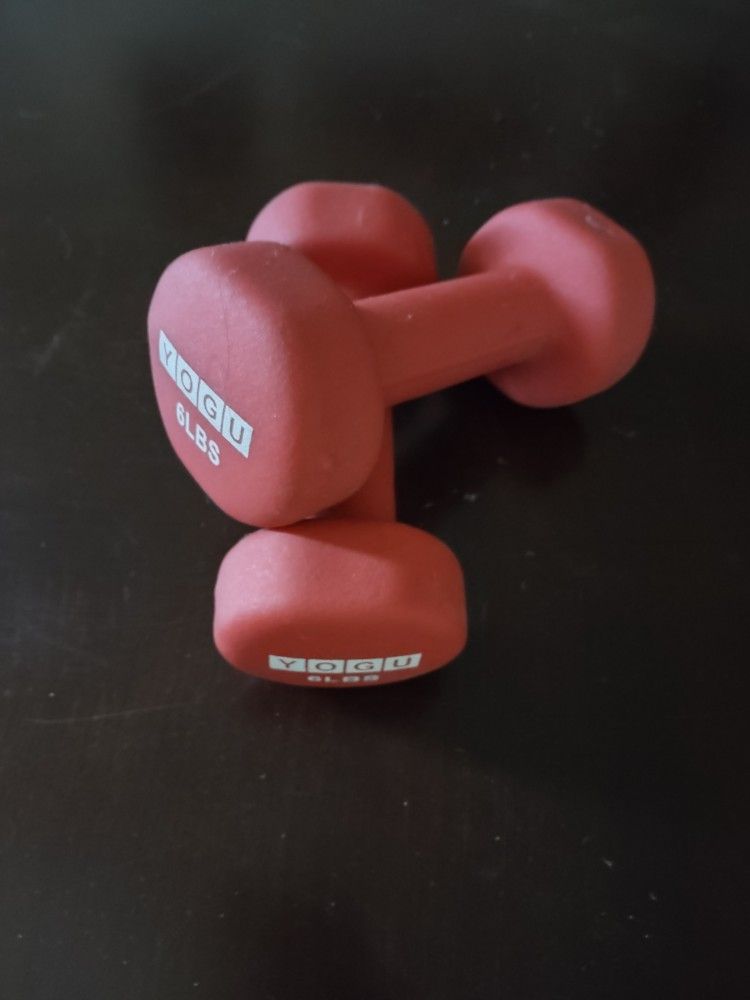6lb Hand Weights