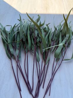 Faux eucalyptus stems