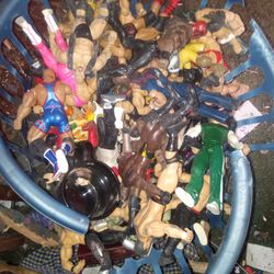 Wrestling Action Figures 