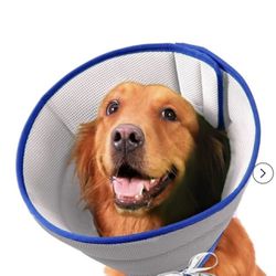 Dog Cone Collar