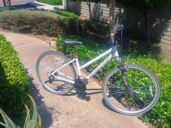 Like New Recreation Terrain Hybrid Bike