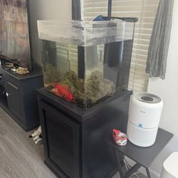 50 Gallon Salt Water Tank 