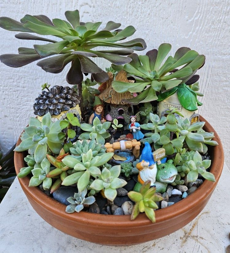 Succulents Arrangements III