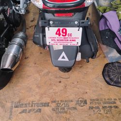 49cc Ice Bear Motor Scooter