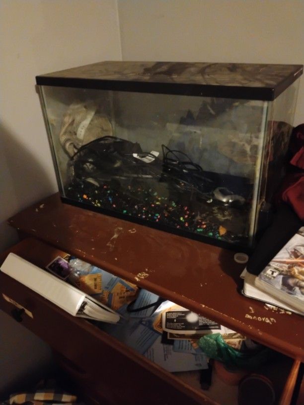 Fish Tank With Lights And Filter