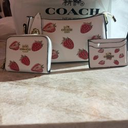 Purse & Wallet With Card Holder  