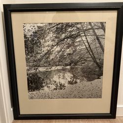 Nature artwork - 31x33