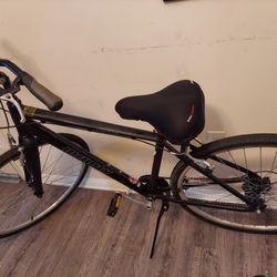 Adult Men's Bicycle 