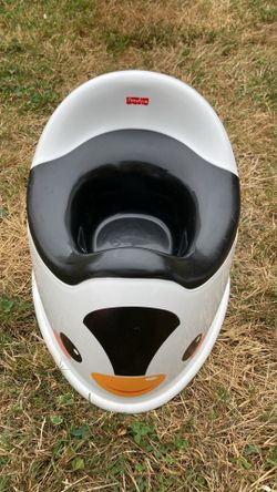 Potty Seat