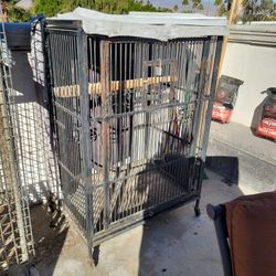 Bird Cage