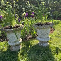 2 Garden Planters Pots With Daylilies
