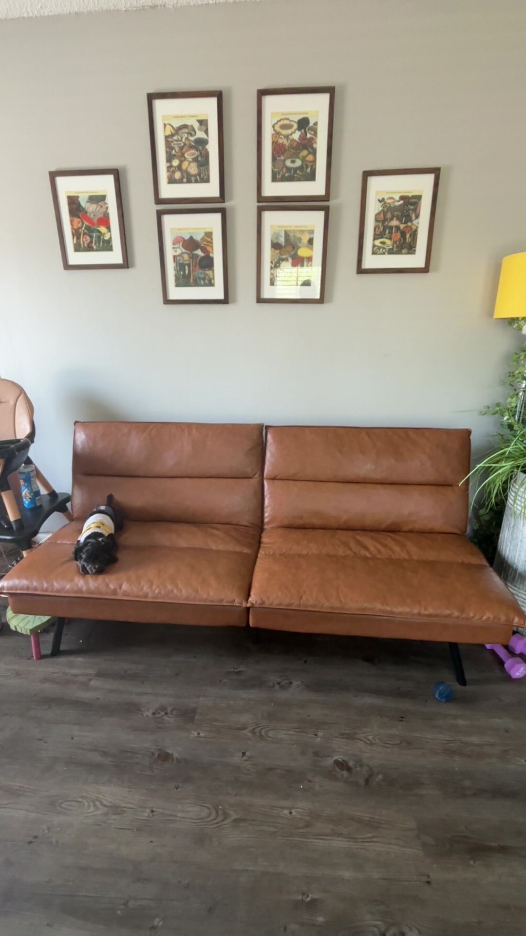 FUTON