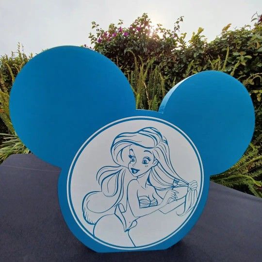 Mickey Ear Display