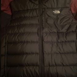the north face vest