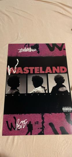 Brent faiyaz “wasteland” poster