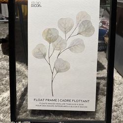Black Framed floating Picture