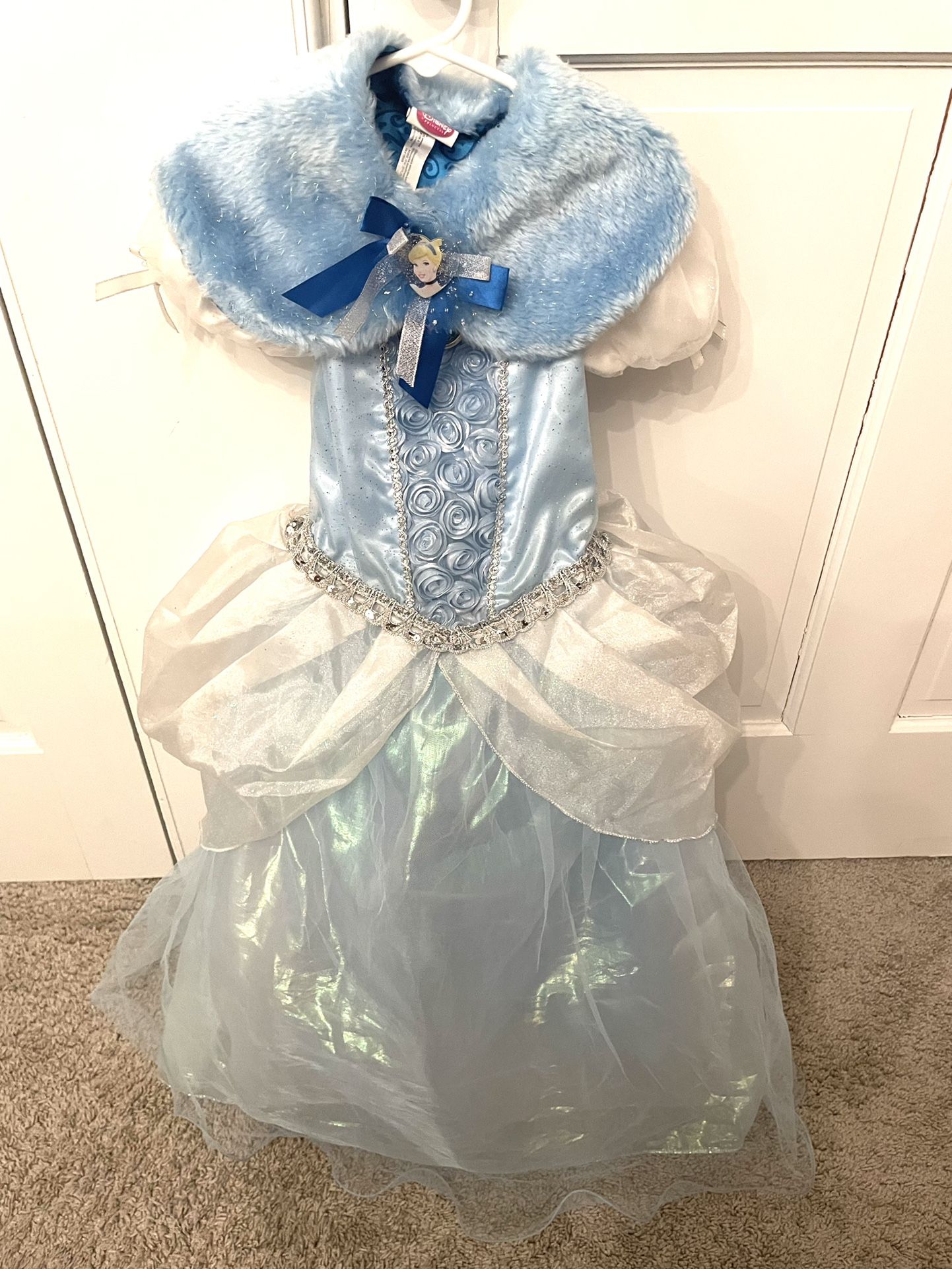 Cinderella costume