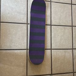 Size 8.25