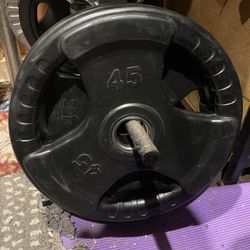 Titan Fitness Pair Of 45 Lb Olympic Rubber Wrapped Steel Weight Plates
