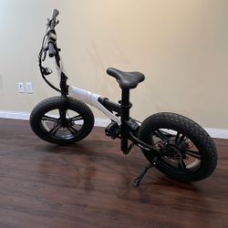 Qualisports Folding Electric Bike Class2