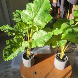 2 Faux Houseplants and Pots