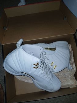 Air jordan 12s men's size 12