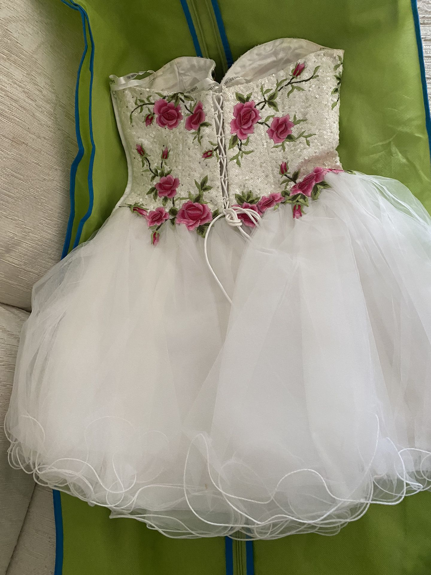 Prom/ Homecoming Dress 