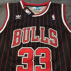 Scottie Pippen Jersey Brand New With Tags 