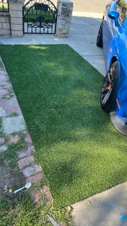 Grass turf