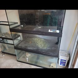40 Gallon Aquarium Fish Tank 
