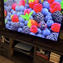 Vizio 55 Inches 4K (2160p) HDR Smart (v555-g1)