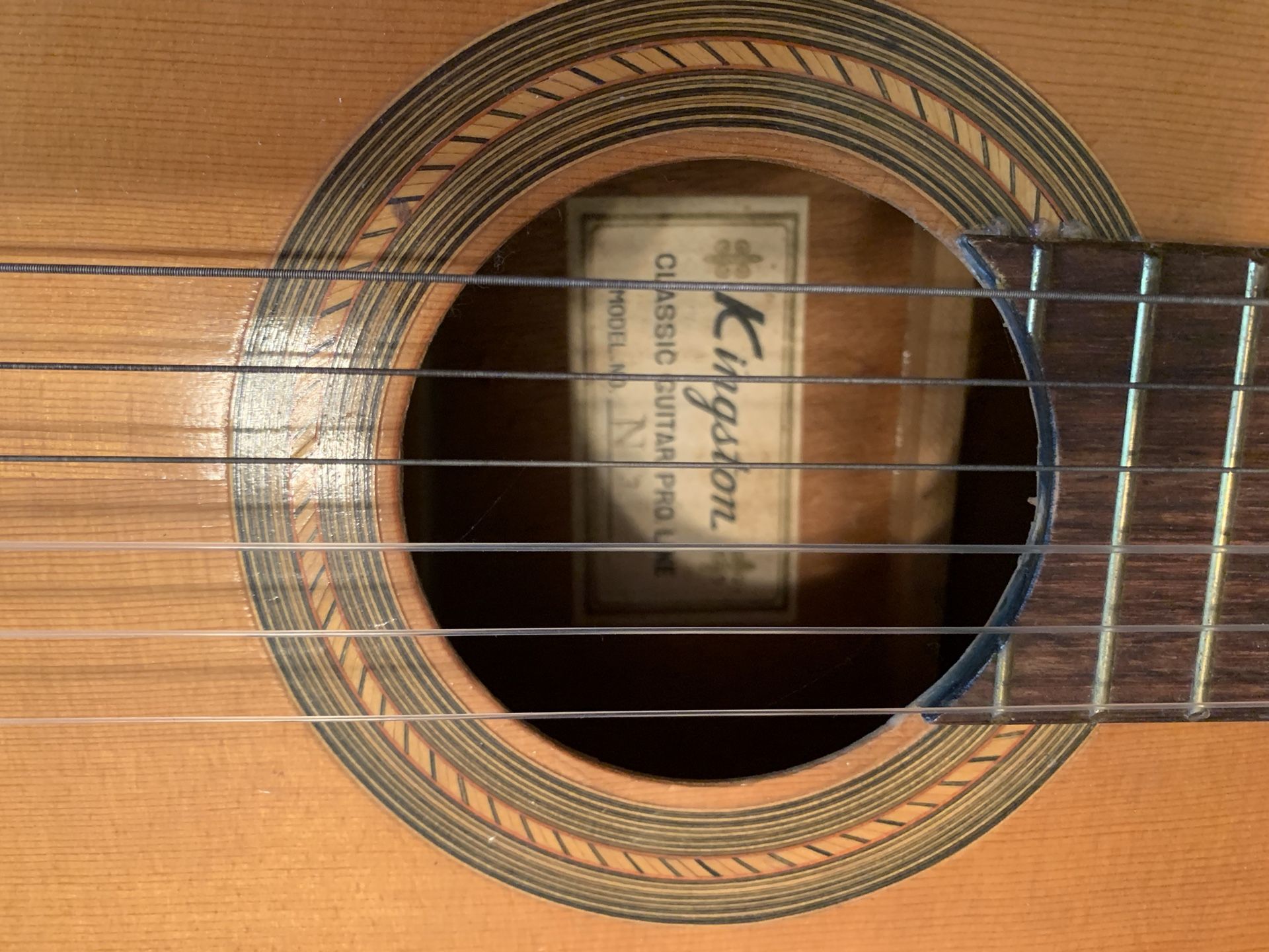 Kingston classic sale guitar pro line