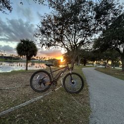Qlife Racer 26 Inch