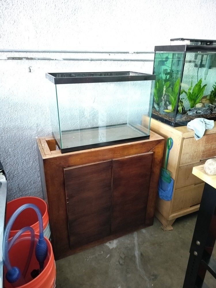 Fish Tank 