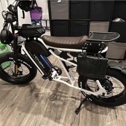 Hover 1 Pro Altai 750 E Bike