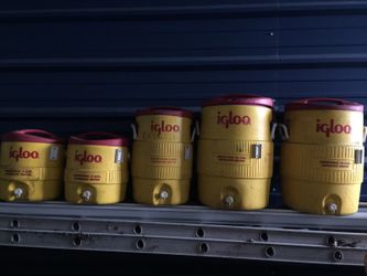 Igloo coolers
