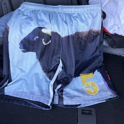 Supreme x Damien Hirst Shorts