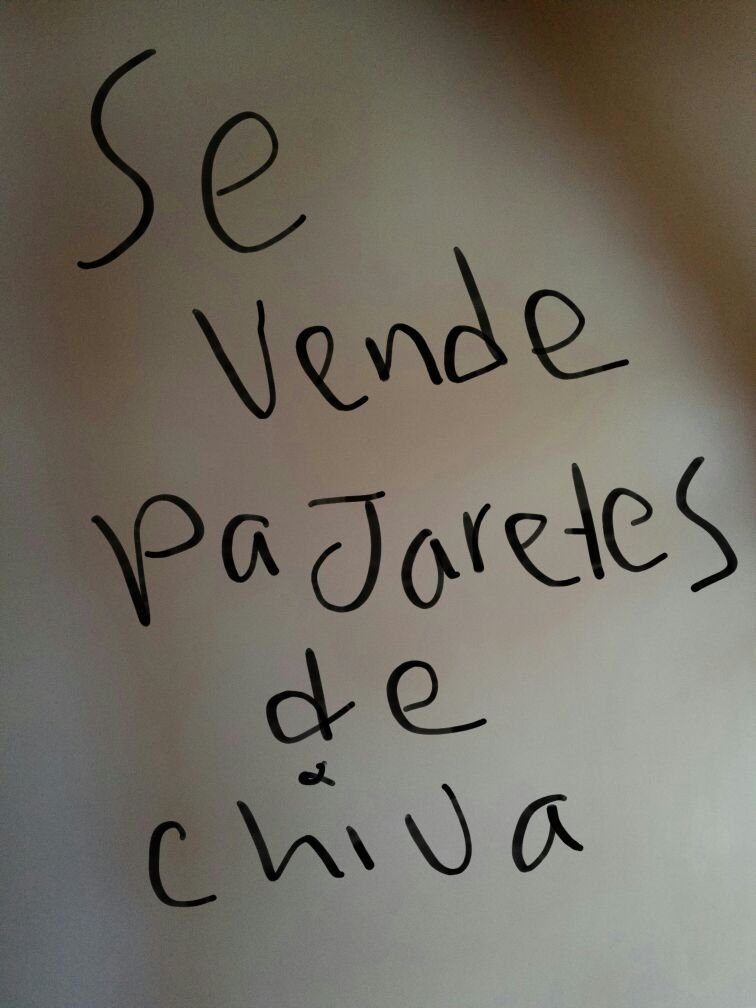 Sabado y domingo