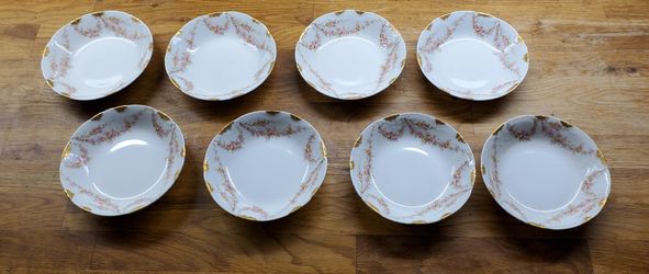 Haviland Limoges China, Schleiger 145 Pattern