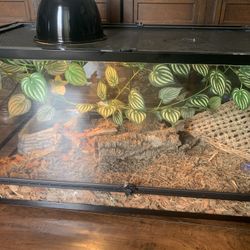 Reptile Aquarium 18x18x36