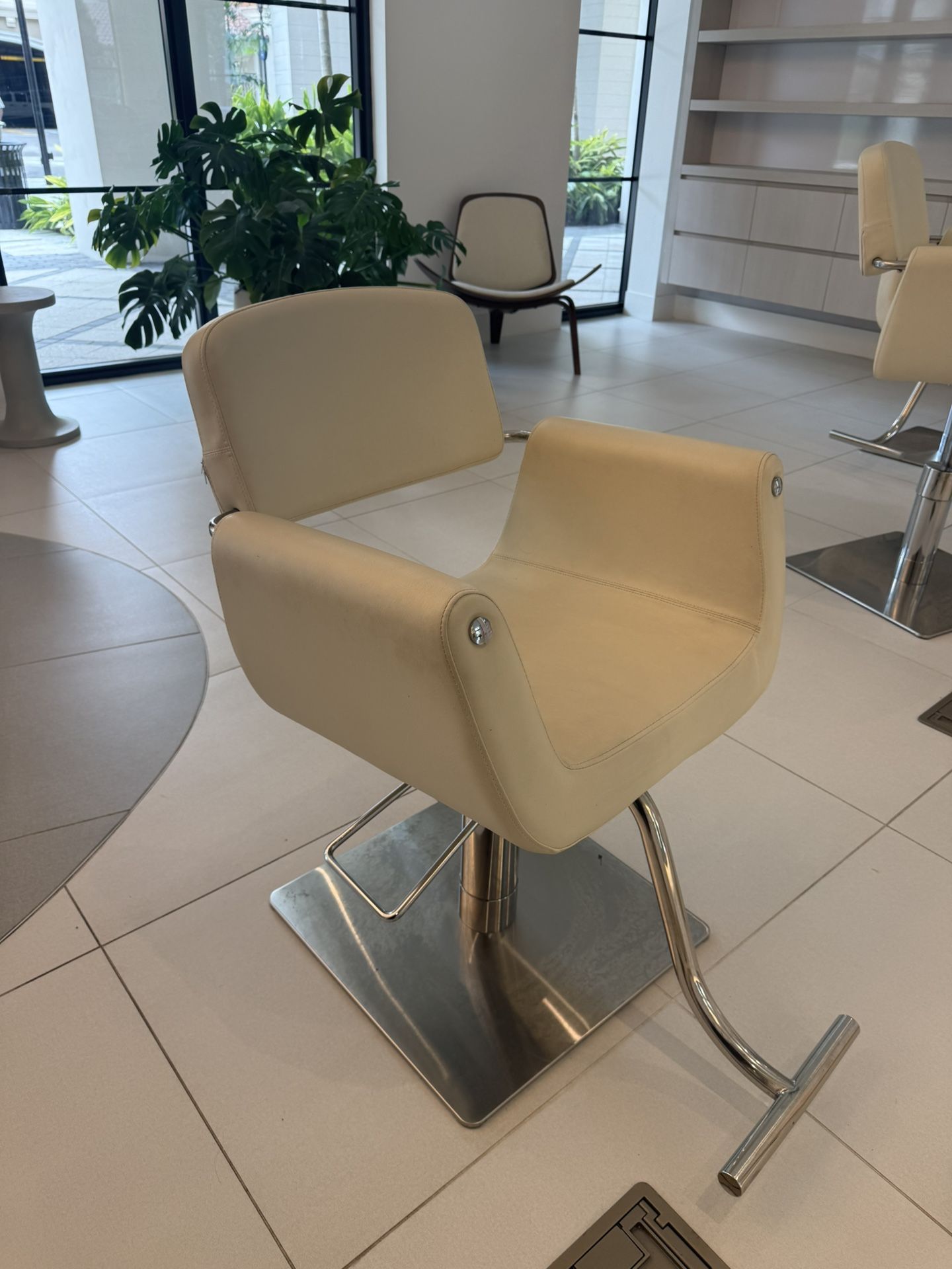Salon Chair