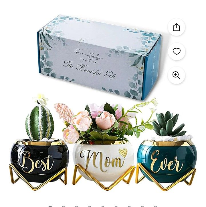 ParaBella Succulent Pots For Mom