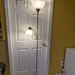 Duel floor lamp with bulbs