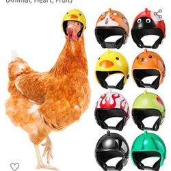 Chicken Helmets