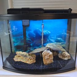 36 Gallon bow front Fish Tank